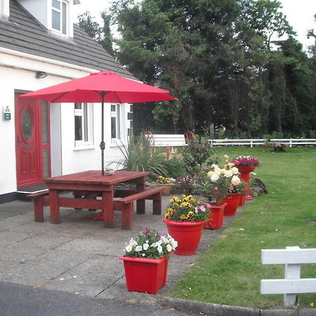 Briar Lodge Bunratty Bagian luar foto