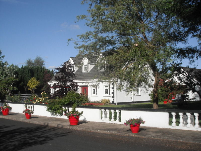 Briar Lodge Bunratty Bagian luar foto