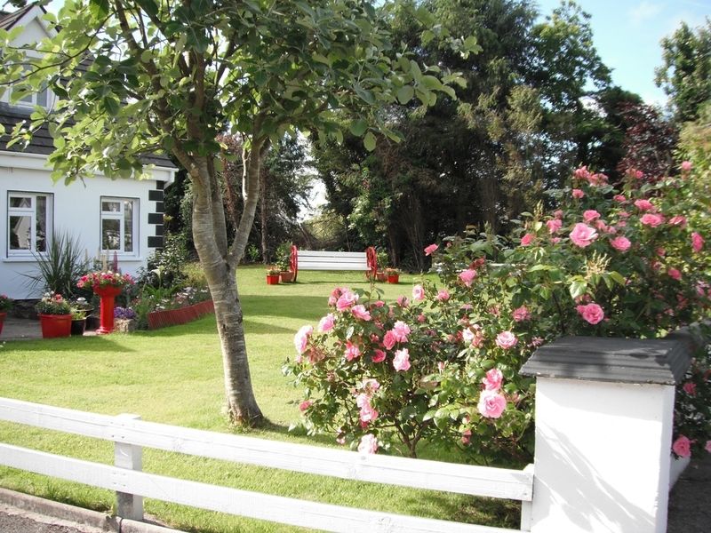 Briar Lodge Bunratty Bagian luar foto
